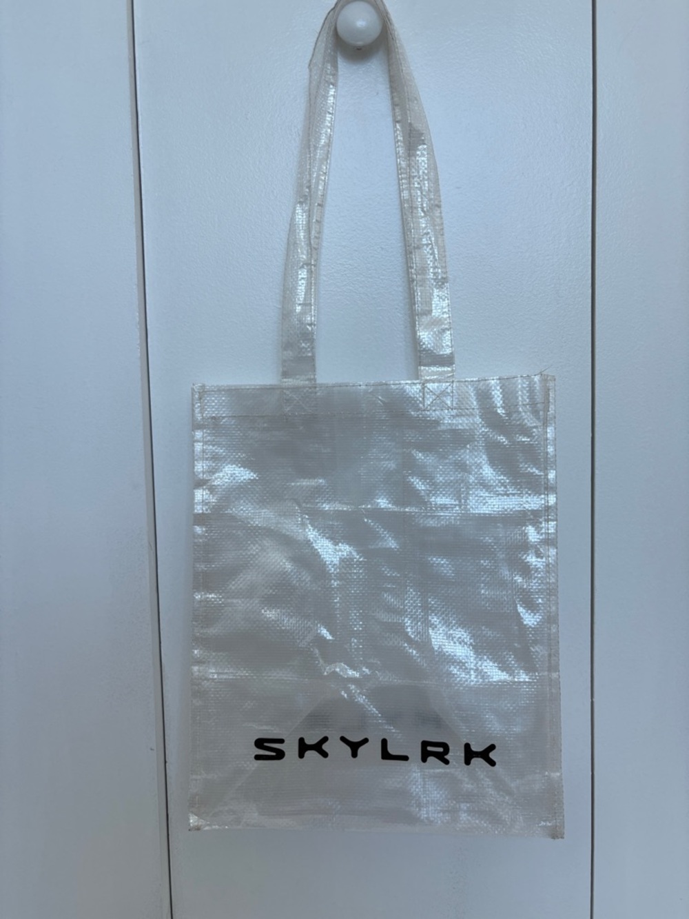 Justin Bieber SKYLRK Coachella Bag